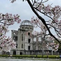 世界中から集まる祈りと、満開の桜。原爆ドームを背にパシャリ、至福の「平和」時間