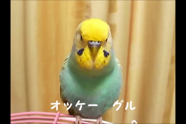 とりまとめ Android とりまとめ Android