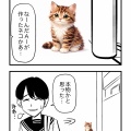 ネコかと思ってよく見たら…