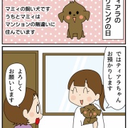 愛犬ティアラの手術記録①見つけてくれた人