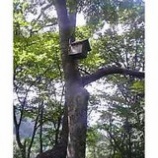 �ؤ��ޤ�����Ȣ�ס٤β���