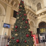 相性重視・向いてる事して幸せに♪星のお墨付き☆ 踊る💃占い師の冒険譚♪モナコとイタリア行ったり来たり🚈HSP/HSS エンパス.あとサイキックちょっと入ってるらしいよ～