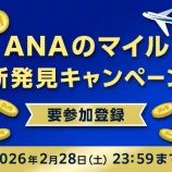 『ANAのサービス利用で1万マイルが当たる！ANAのマイル新発見キャンペーン』の画像
