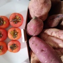 クシムより株主優待