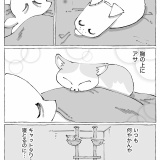 うちの犬のルカ。【９４】