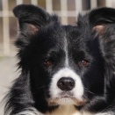 根拠のない自信は妄想