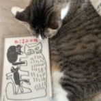 美しい歩き方と体質改善