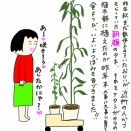 罰が当たるほどの罪