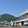 函館市豊川町27 函館魚市場食堂 魚いち亭 その14 月見うどん550円
