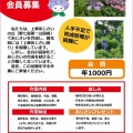 あじさいの丘 準備はかどっています