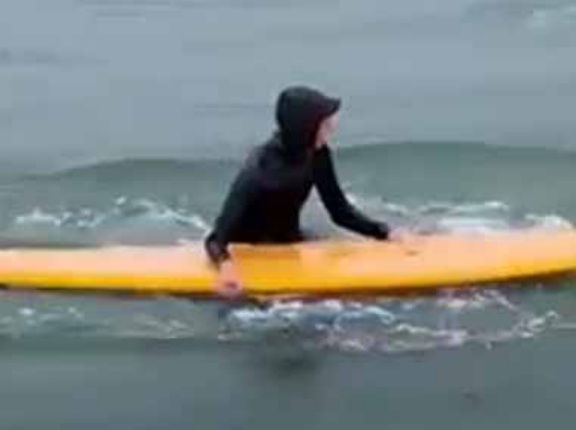 サーファーたちが波乗りを楽しんでいた。ボクも乗せて♪ → 人懐っこい野生の子供はこうします…