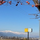 勝手に信州大学マラソン（敗退）