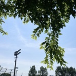 スパークリングLIFE〜思考整理でママに時間と心の余裕を♡