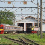 『週刊マンガライレポートVol.175』の画像