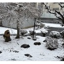 実家の庭に雪積もる