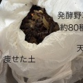 手前味噌創りや野草酵素　 スキンケアにも活用