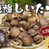 『ふるさと特産品 　【大容量】勝山さんの乾燥椎茸 2kg（ミックスサイズ）』の画像