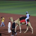 阿佐智の「アサスポ・ワールド・ベースボール」