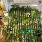 資格ゲッターが行く！