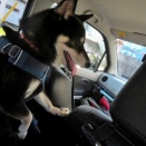 誰だオマエわあ～