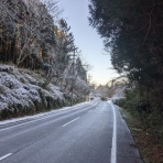 えふえふぶろぐ