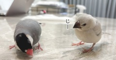 祝！ひとり餌バンザ～イ！