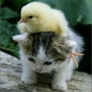 小学生の頃。父親が知らない女性と女の子と手を繋いで歩いているのを目撃。ぼーっとみてたら父親と目があったがスルーされてしまい…