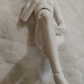 仮組みしました