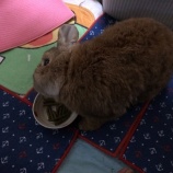 『Happy Birthday　～うみ、８才の誕生日～』の画像