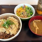 気分吟醸の河は流れて