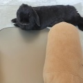 ー 大人風情 ー
