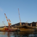 やすはいま（再）