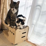 ニャンコとまったり時間・・・