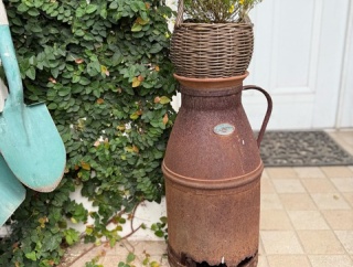 ＊満開を迎える準備中の花たち〜気温20°C人が心地良いということは植物も心地良いのだ〜