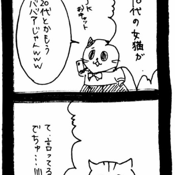 赤ちゃん自認ねこ10