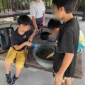 NPO法人かたひらかたろう　今週のお知らせ