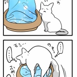 私と猫の以心伝心💛の方法を伝授される旦那