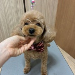 ペットショップワンラブ フレスポ御所野店のスタッフブログ