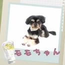 ＪＡＭにご来店♪