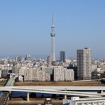 東京スカイツリー定点観測所