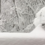 イワナの散歩Ⅱ