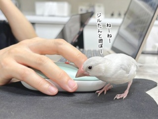 ジルの性格が楽しすぎる