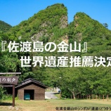 『【活動報告】2021年度の取り組みについて【ふるさと納税:江龍田】』の画像