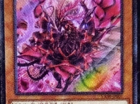 【遊戯王OCG】/バスターを推すなら・・・