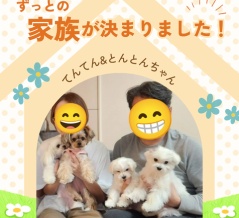 正式譲渡決定いたしました