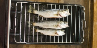 夕食中、焼き魚が旨いという話になって　嫁：ほらサトー、サトウ－よ高級魚だけどほら、アレ、サトー！→