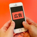 セガレの知恵袋