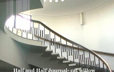 『速報　ハローウィンの衆議院選挙; 与党が過半数割れ　政権交代か？』の画像