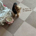 るいコハ日記