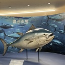 末娘と東京旅行🐟2日目は豊洲市場と動物園